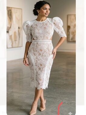Bronx and Banco | Dresses | Nwt Bronx And Banco Saba Embroidered Mesh Midi  Dress | Poshmark